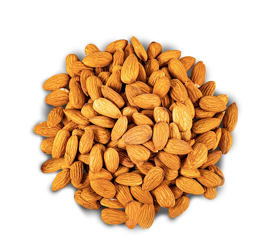 Raw Almond Suppliers Raw Almonds in Packs, Buckets, Loose