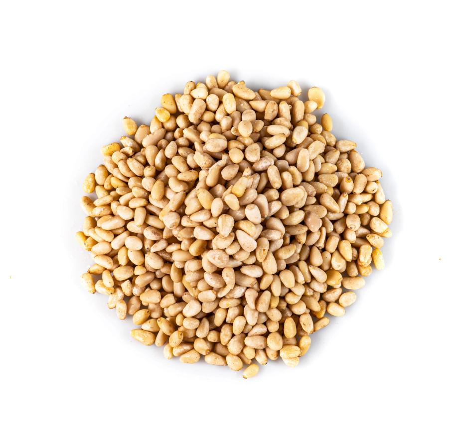 Pine Nuts Supplier UK Distributor of Pine Nuts